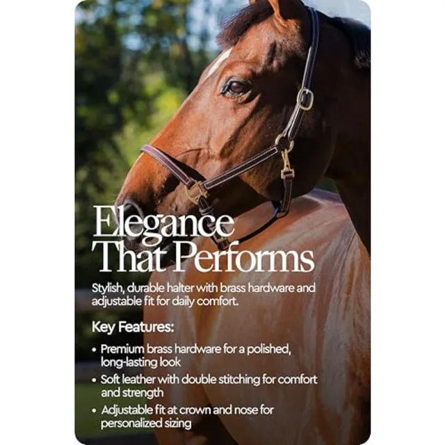 Fremont Soft Leather Horse Halter for Everyday Use Genuine Leather Black Fully Adjustable with Brass Hardware Contrast Stitchin