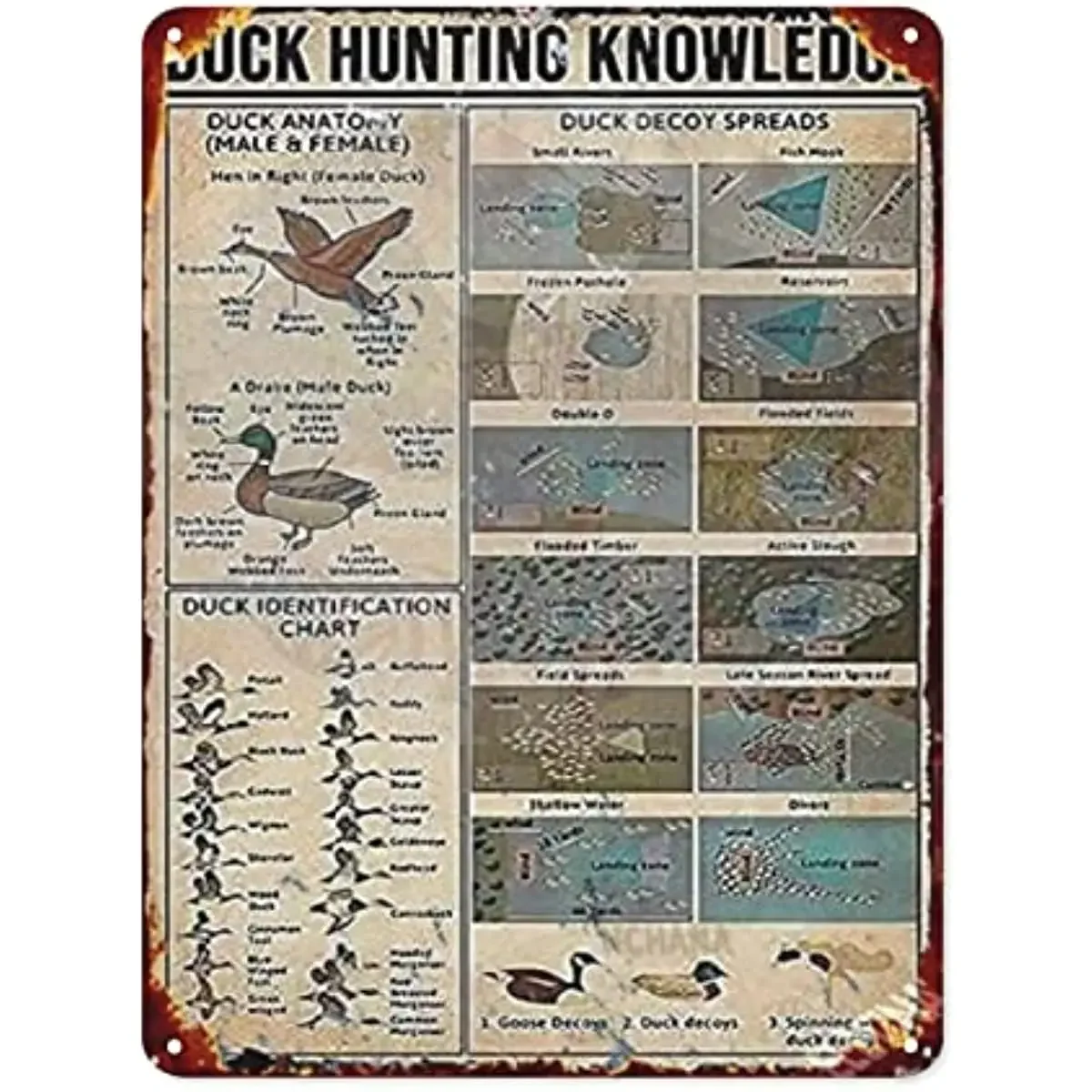 Nuovo Retro Metal Tin Sign Duck Hunting Knowledge Metal Tin Sign Duck Identification Chart Retro Poster Hunting Cabin Kitchen Cafe