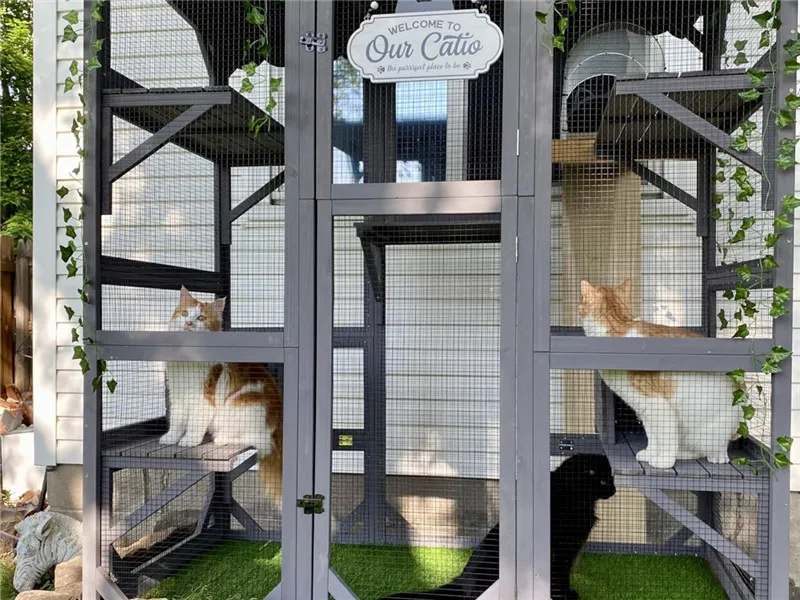 catio