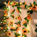 6-Sun flower