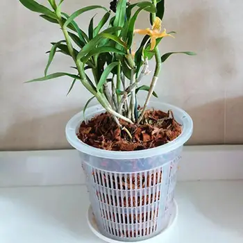 Meshpot Clear Plastic Orchid Pots For Flower Breathable Basin Orchid Planters Root Control Orchid Transparent Desktop Pot