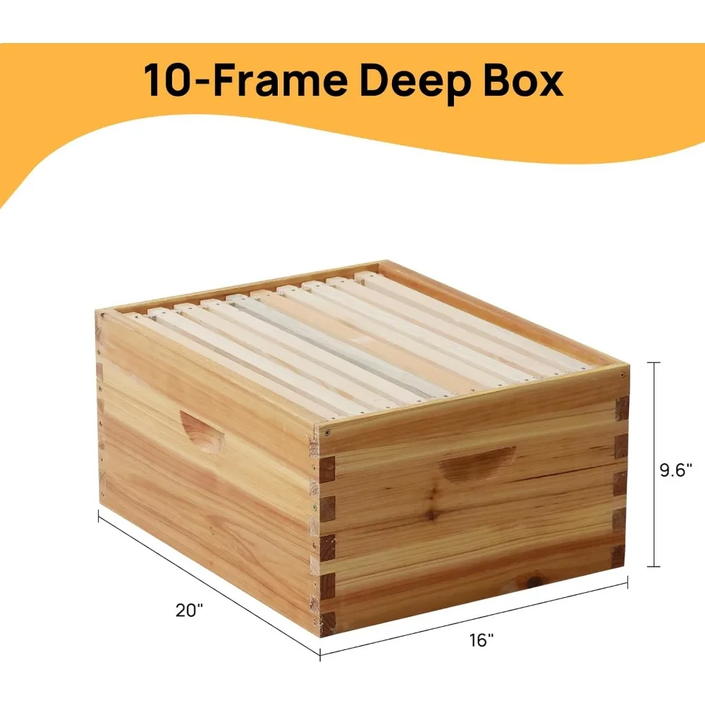 10-Frame Langstroth Bee Hive Coated with 100% Beeswax Includes Beehive Frames and Foundations (2 Deep Boxes & 2 Medium Boxes) 6