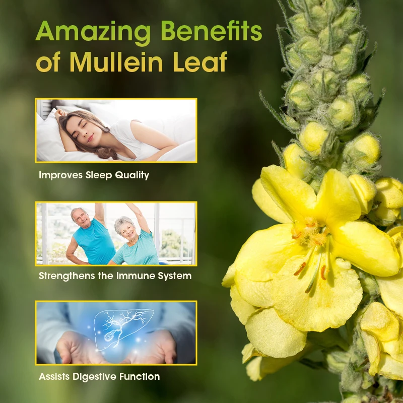 Lukaree Mullein Leaf Capsule Clean the Lung Protecting the Respiratory System Relieve Phlegm and Cough Immune Support Help Sleep mullein leaf extract lung detox capsules