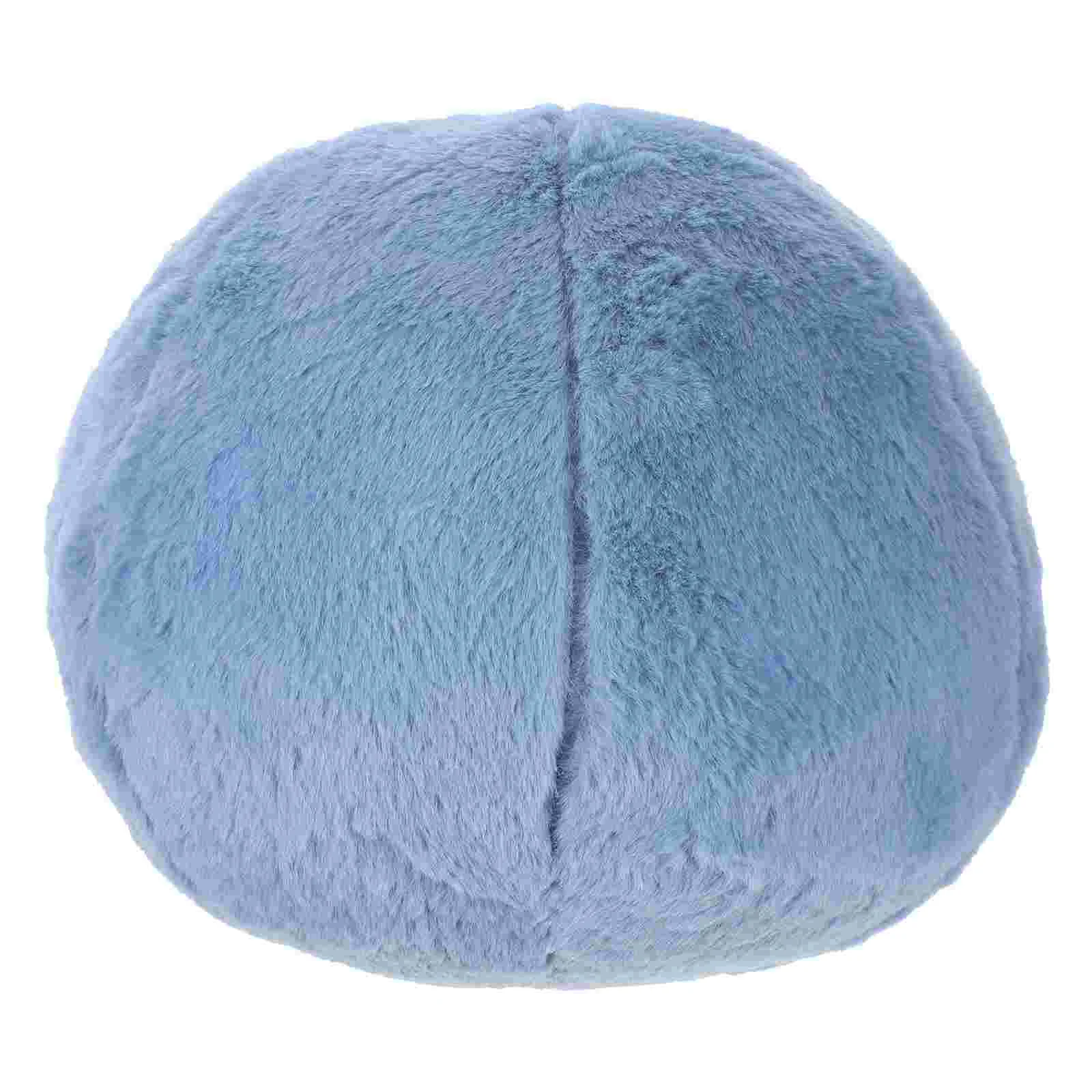 

Spherical Yoga Ball Living Room Pillows for Couch Cushion/pillow (including Core)