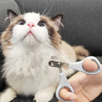 고양이 손톱깎이, 애완 동물, 혈액 방지, 손톱 가위 손질, 고양이 발톱깎이, 손 용품 제품, 홈 가든