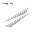 Glossy Gray