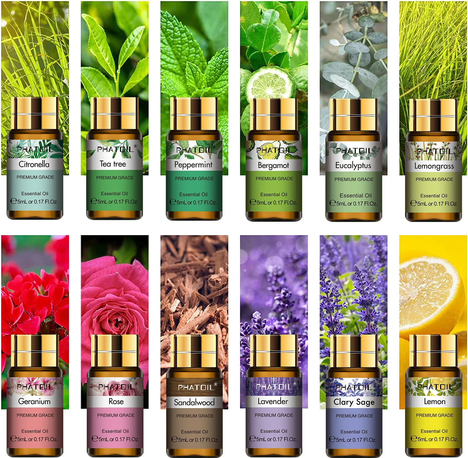 PHATOIL 12-Piece Aromatic Essential Oil Collection – Lemongrass, Lavender, Eucalyptus, Peppermint, Rose, Vanilla