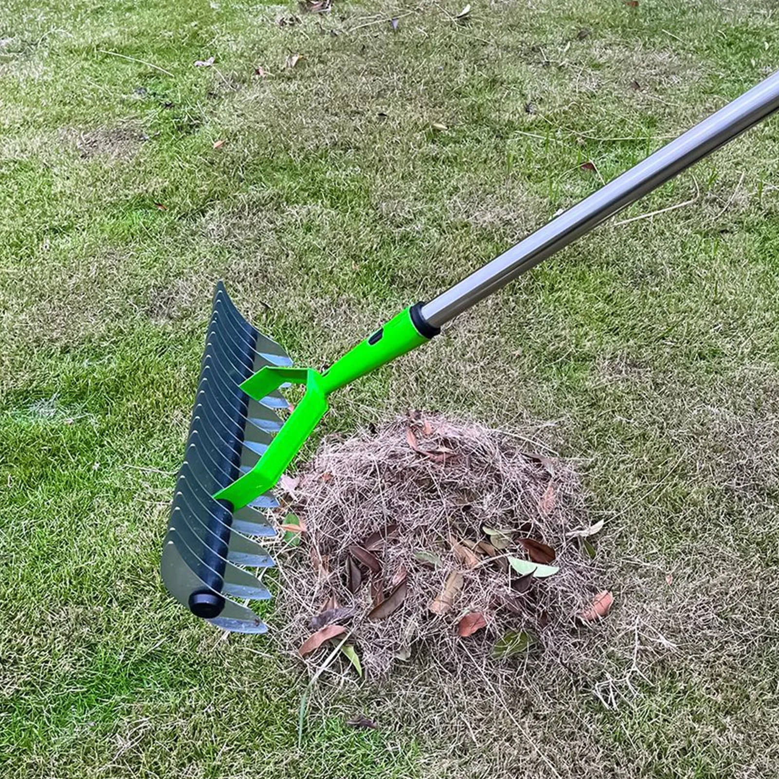 Thatch Rake 1.7m Alloy Steel Lawn Thatching Rake Garden Tool For Dead Grass Cleaning Soil Loosening