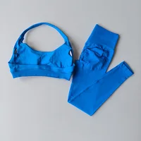 Seamless Yoga Suit Women's Beauty Back Sports Bra Lingerie Peach Buttocks Fitness High Waist Legigngs Gym Yoga Suit Pilates Set - Image 2