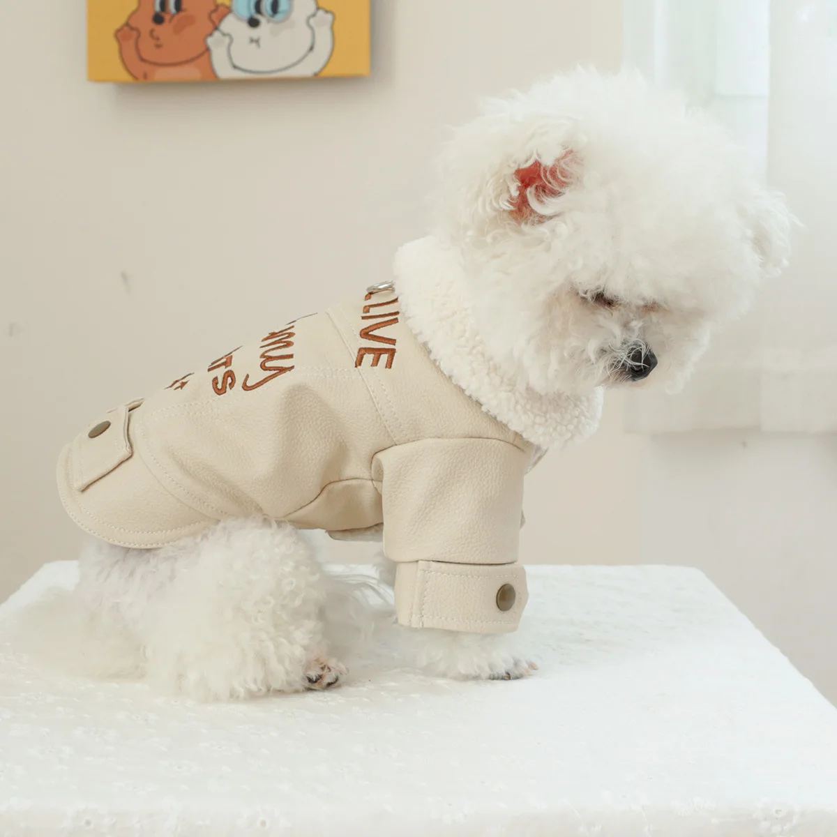 Pet Leather Fur Collar Fur Coat - PeticaDeals