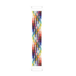 Braided Nylon Fabric Solo Loop Strap for S (New - Pride Edition)