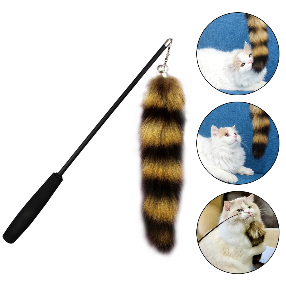 

Cat Set Retractable Cat Wand Interactive Cat Kitten with Cat Wand Refill