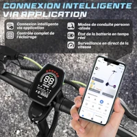 Trottinette électrique adultes TODIMART D5, 48V 10.4AH, 24km/h, autonomie 30-40km, double suspension à ressort, pneus 10 pouces 2