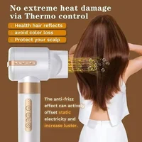 Sèche-cheveux 7 en 1 Fer à friser professionnel à ions négatifs Fer à lisser Moteur sans balais Sèche-cheveux haute vitesse Ensemble de peignes chauds 2