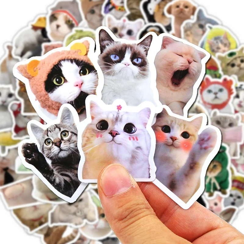 Cat Shape Sticker S42bf15d96841401d9cc1037137796d46n.jpg