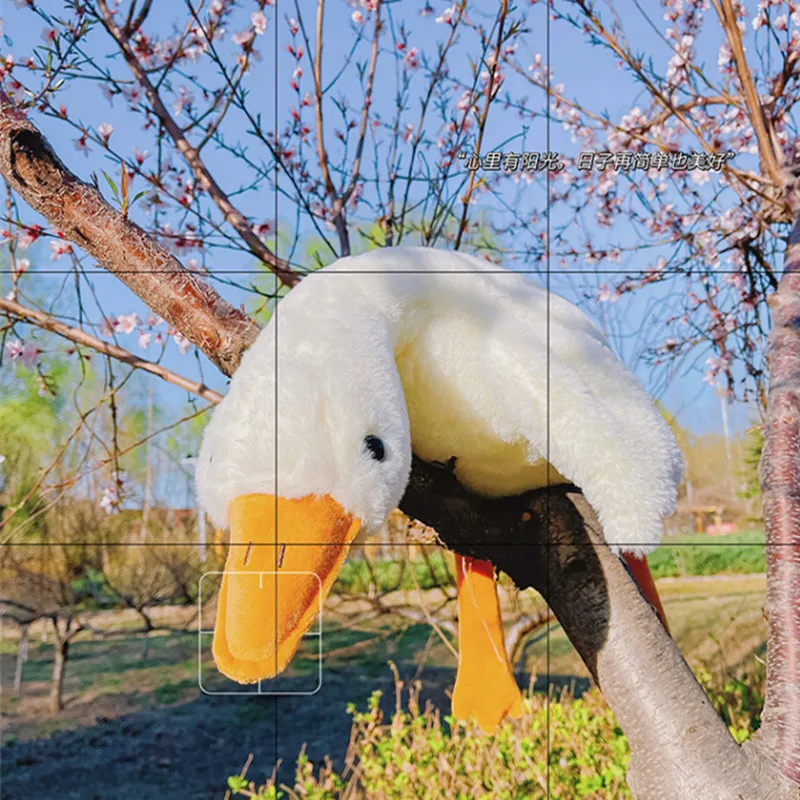 Soft Goose Plush Sleeping Pillow 2