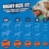 Chuckit! Ultra Ball Dog Toy 3