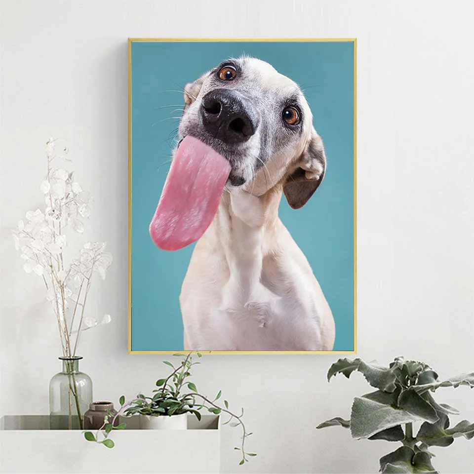 30 (5).jpg_.webp 30 (5).jpg_.webp