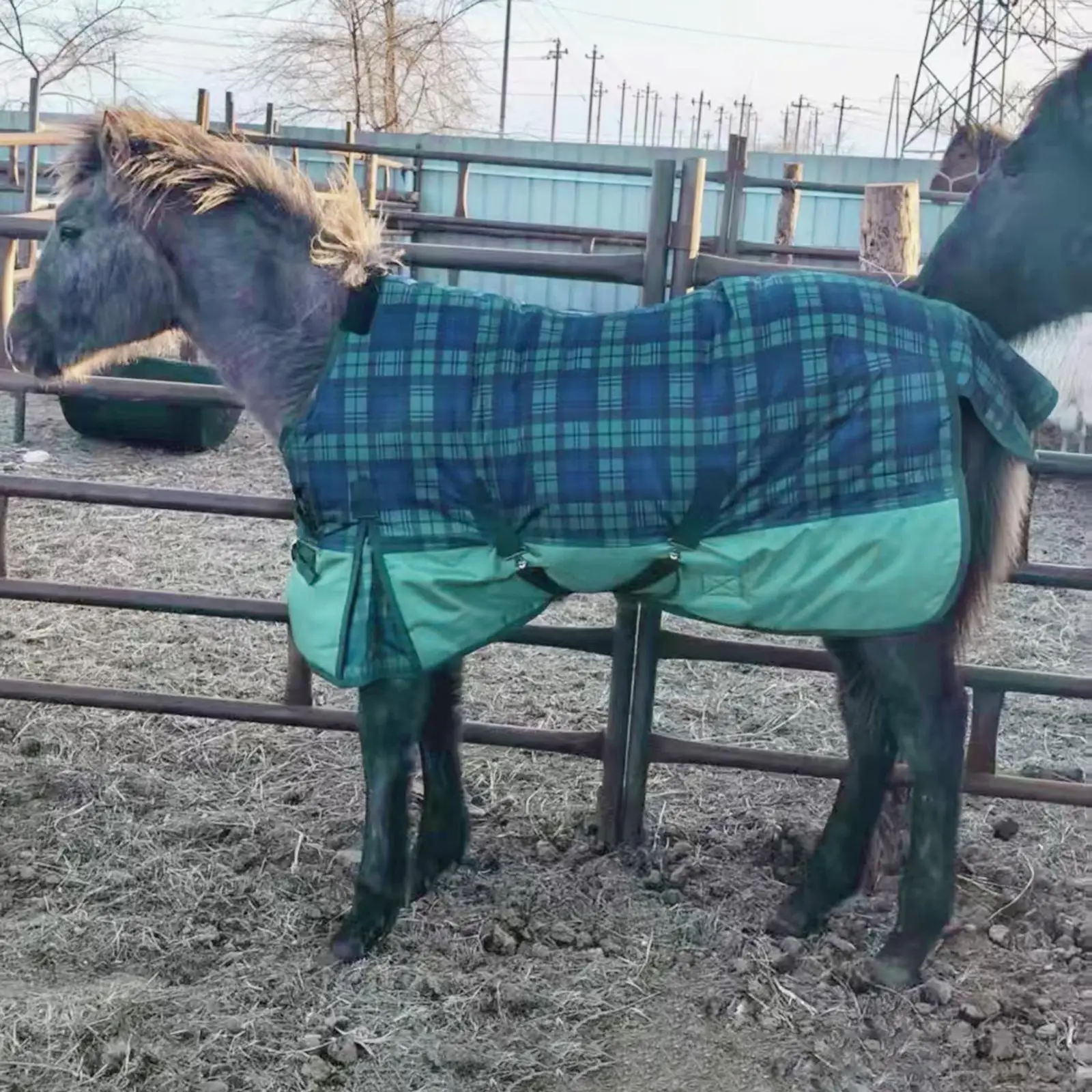 Winter Horse Blanket Easy to Install Breathable, Waterproof, Warm 1680D Oxford Cloth, Horse Sheet, Turnout Blanket, Belly Wrap
