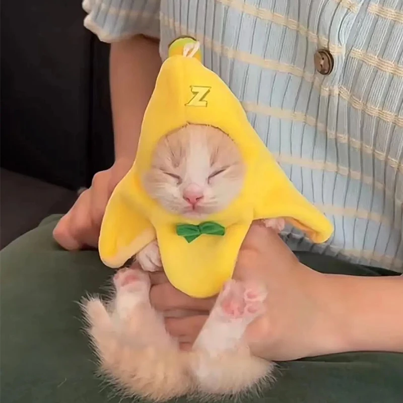 바나나 고양이 머리 커버, 창의적인 귀여운 고양이 반다나, 반려동물 머리 장식, 봉제 고양이 코스프레 의상, 바나나 머리 장식, 공연 사진 소품
