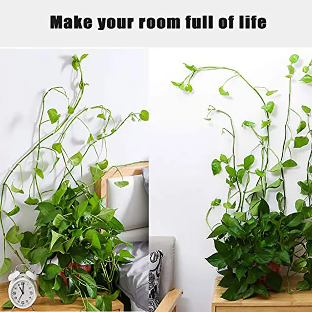 Növényi Hegymászó Fal Önálló Rögzítő Kötött Szerelt Szőlő Függő Csat Hook Kerti Stent Láthatatlan Rögzített Zárójel - Image 6