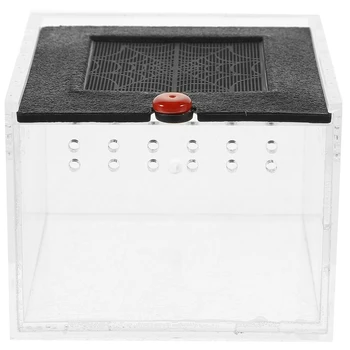 Clear Acrylic Reptile Feeding Boxes 1