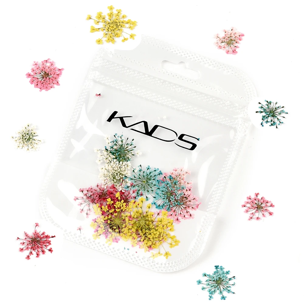 KADS 드라이 플라워 네일 아트, 혼합 색상, 3D 네일 아트 장식, 천연 별꽃 스티커, DIY 매니큐어 액세서리, 가방 당 18 개
