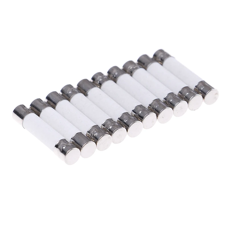 10 Pcs Ceramic Fuse Microwave Electric 20A 250V Home Supplies DIY 6x30mm