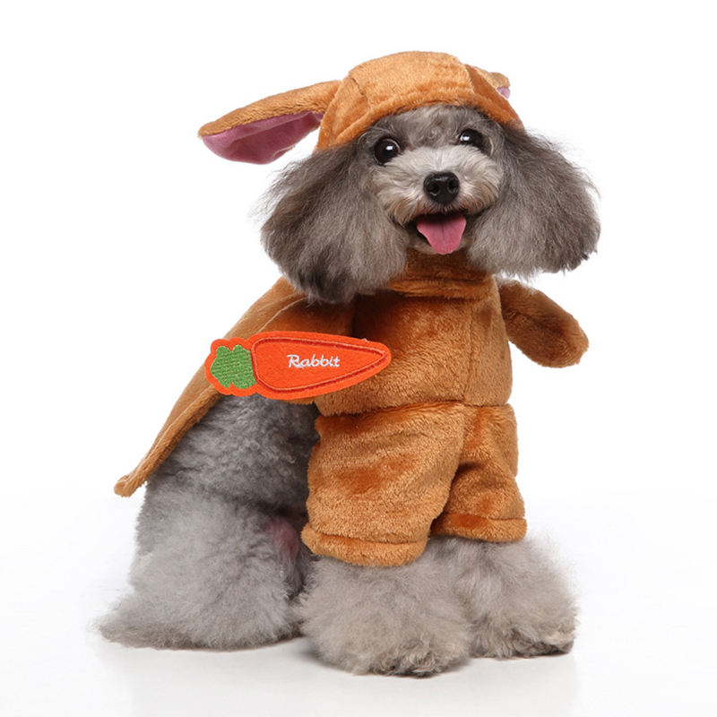 Costume Lapin pour chiens