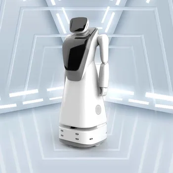 Guida alle esposizioni Consegna Smart AI Robot commerciali umanoidi con servizi di auguri e ricevimenti di benvenuto