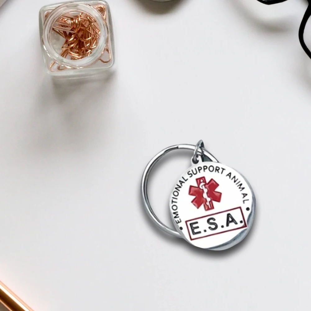 Personalized Stainless Steel Dog Tag – Double-Sided Anti-Lost Pet Collar Accessory