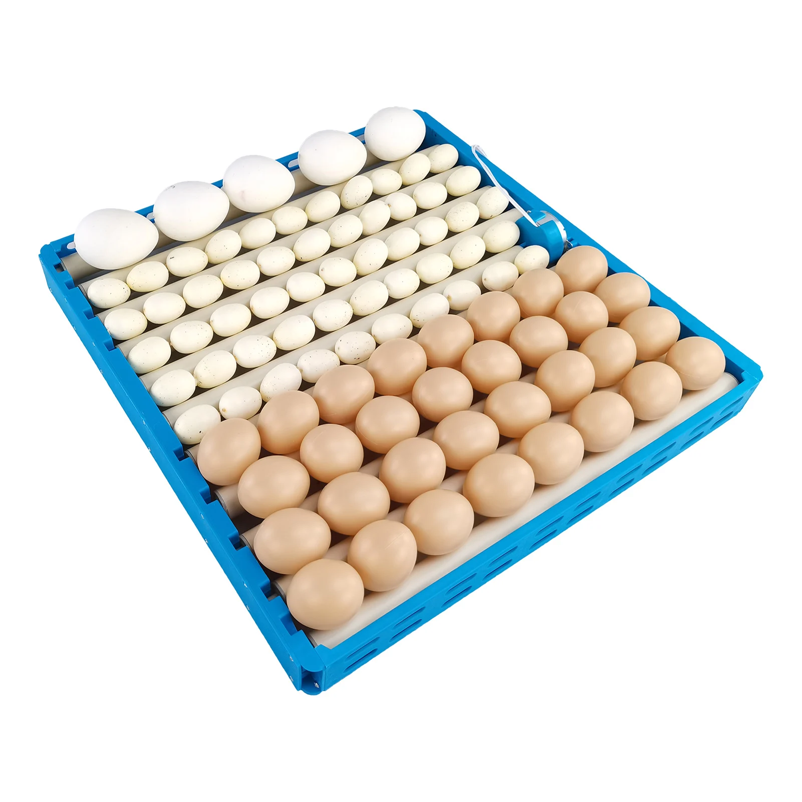 Automatic Egg Turner Tray Egg Trays For Incubation Brooder Incubators For Hatching Eggs Quail