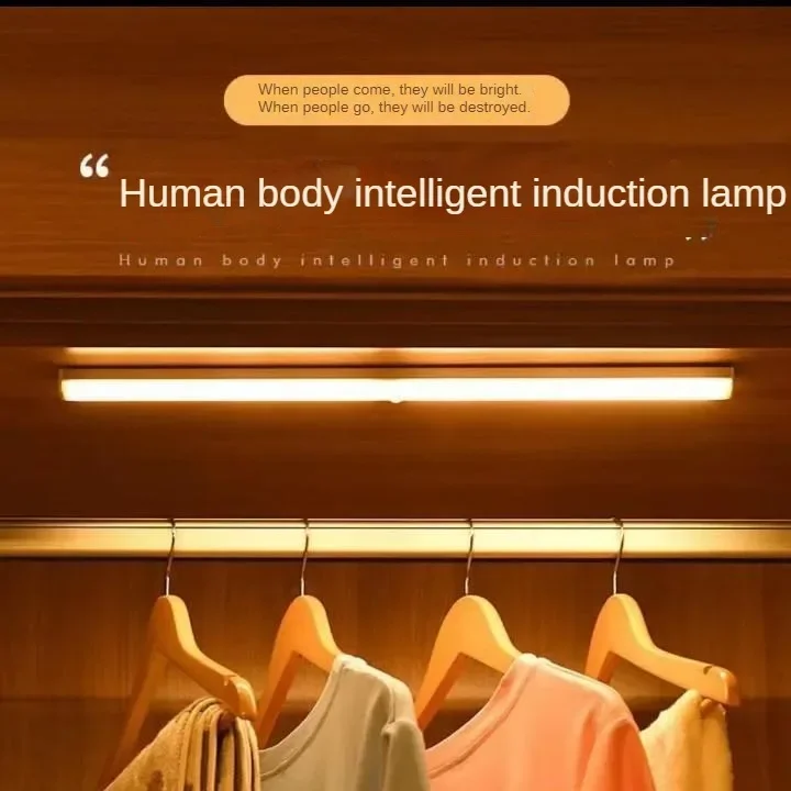 

10 Packs Led Human Body Induction Light Bar Magnetic Suction Cabinet Light Wardrobe Shoe Cabinet USB Small Induction Night Lamp