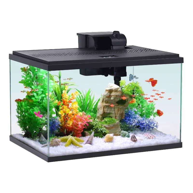 10-Gallon Glass Aquarium Starter Kit 1