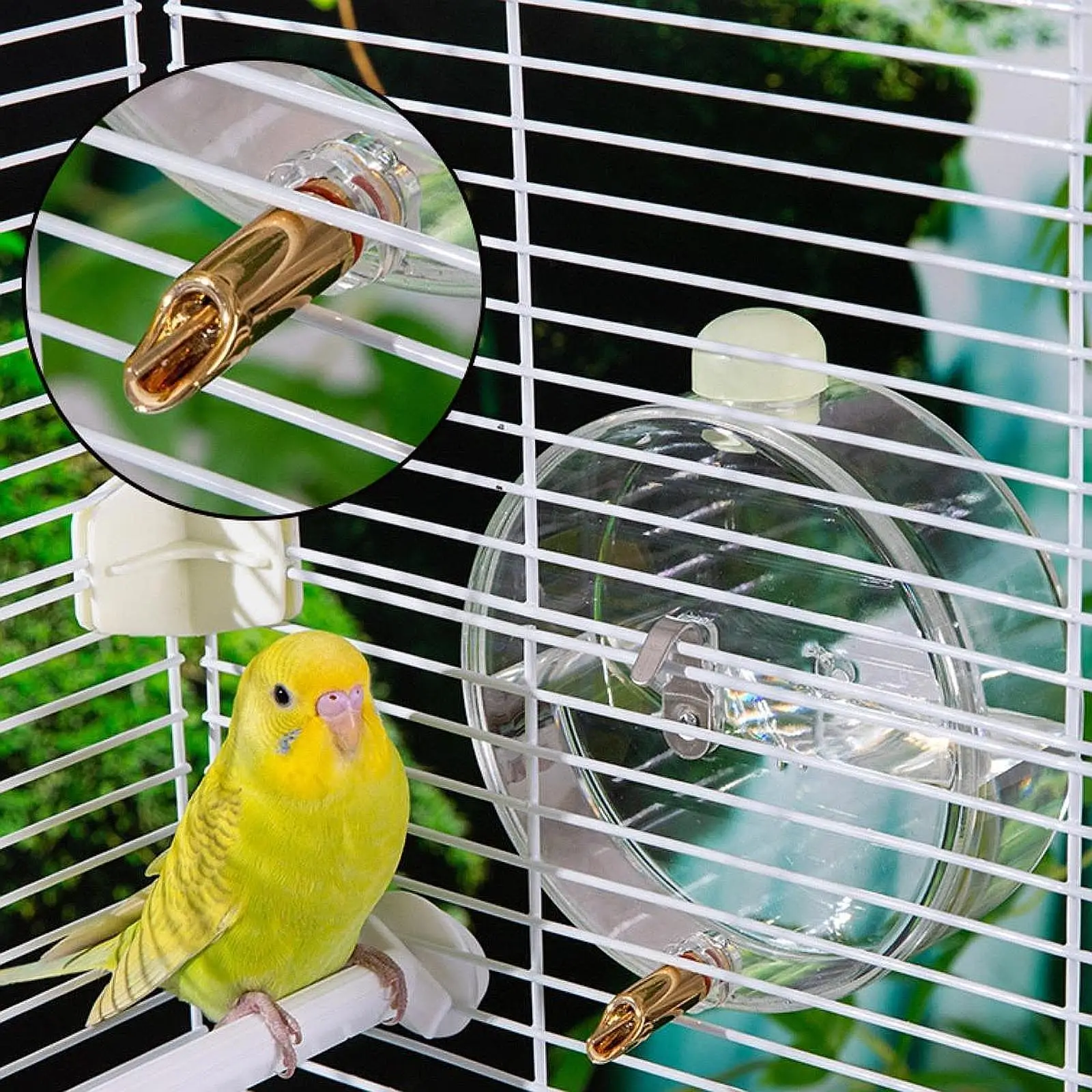 Parrot Bird Water Feeder Bird Water Fountain Water Bottle Bird Waterer Automatic for Canary Budgie Parakeet Dove Lovebirds
