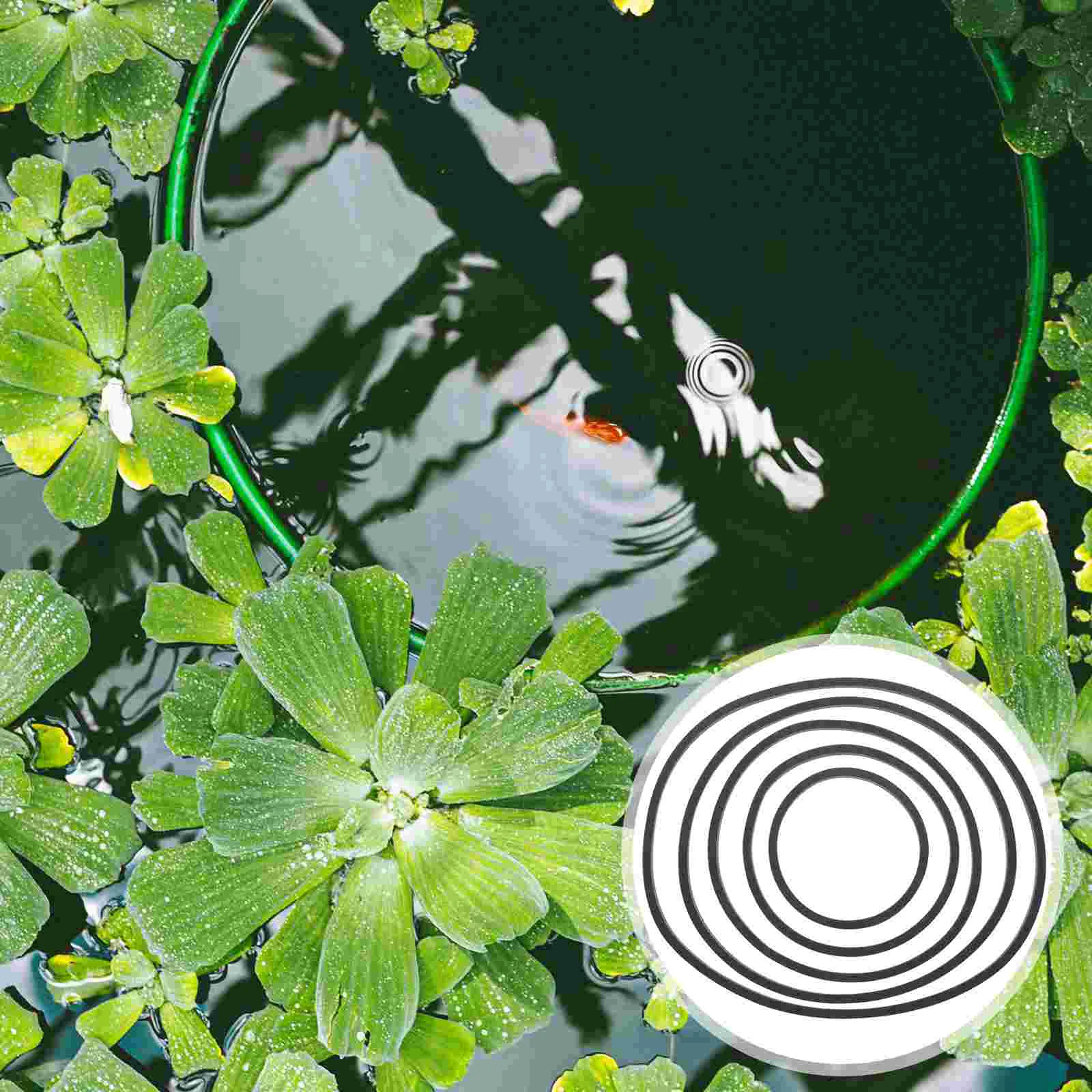 5 Pcs Floating Plant Rings Fish Feeding Rings Aquarium Plant Holder Tank Duckweed Pet Products Aquatic Decorations Plastic