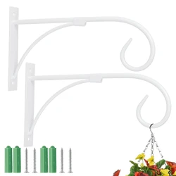 Elegant Iron Art Garden Wall Bracket for Hanging Plants and Flower Pots (WHITE)