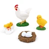 4Pcs Chick Life Cycle Model,Realistic Animal Life Growth Cycle Biological Model Kid Educational Figures Toys 5