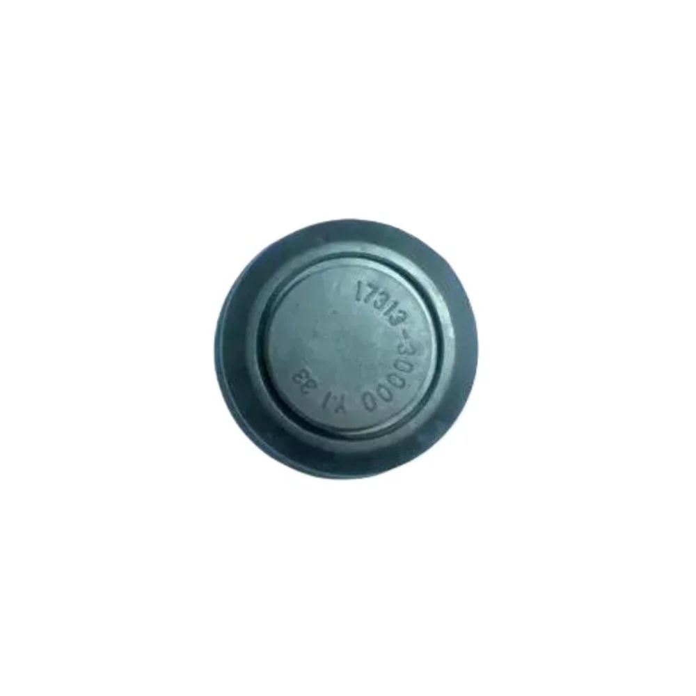 XCCYG Front Rear Side Door Window Regulator Bolt Cap Cover Plug Gasket For KIA HYUNDAI Sonata 1731330000 17313-30000