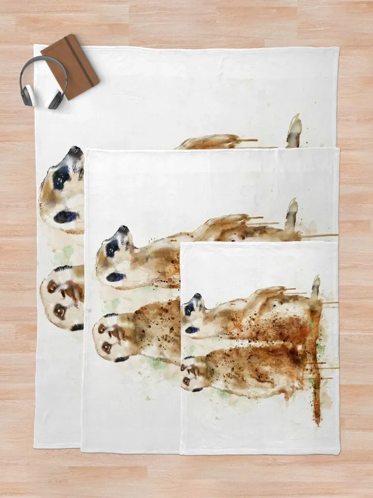 �̾�Ĺ ������ ��� ħ��, �мųʺ��� ��� ���, ���Ÿ� �귣��