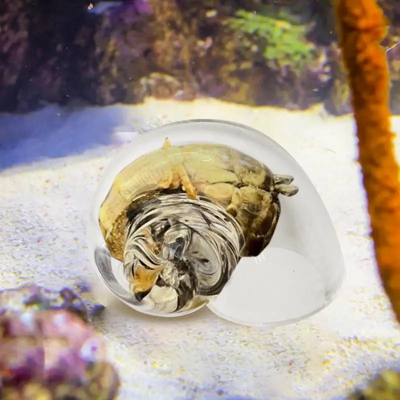 Hermit Crab House Clear Glass Conch Shells For Hermit Crab Fish Tank Ornaments Spiral Shells Art Supplies Decor