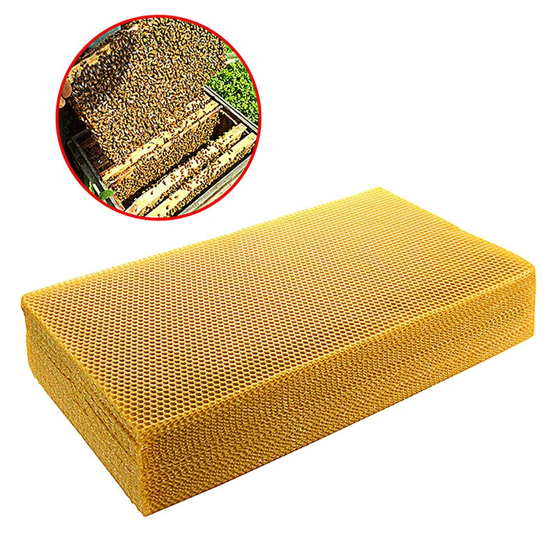 Household Honeycomb Foundation Bee Hive Wax Frames Beekeeping Equipment Sheet 13.3 X 9cm 10PCS