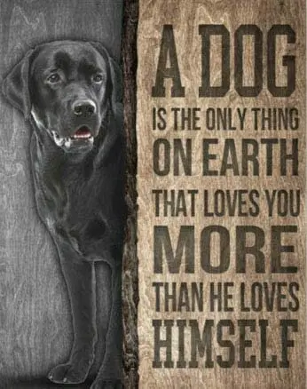 Dog The Only Thing On Labrador Retriever Music Vintage Novità Funny Home Bagno Bar Pub Cottage Farm Rustic Retro Tin Sign