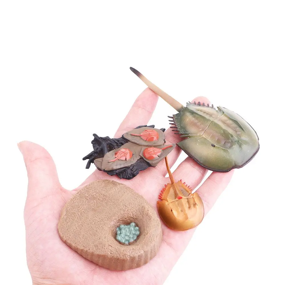 Science Sea Life Simulation Insect Earthworm Children Animals Figurines Salmon Realistic Life Cycle Growth Cycle Model Octopus 5