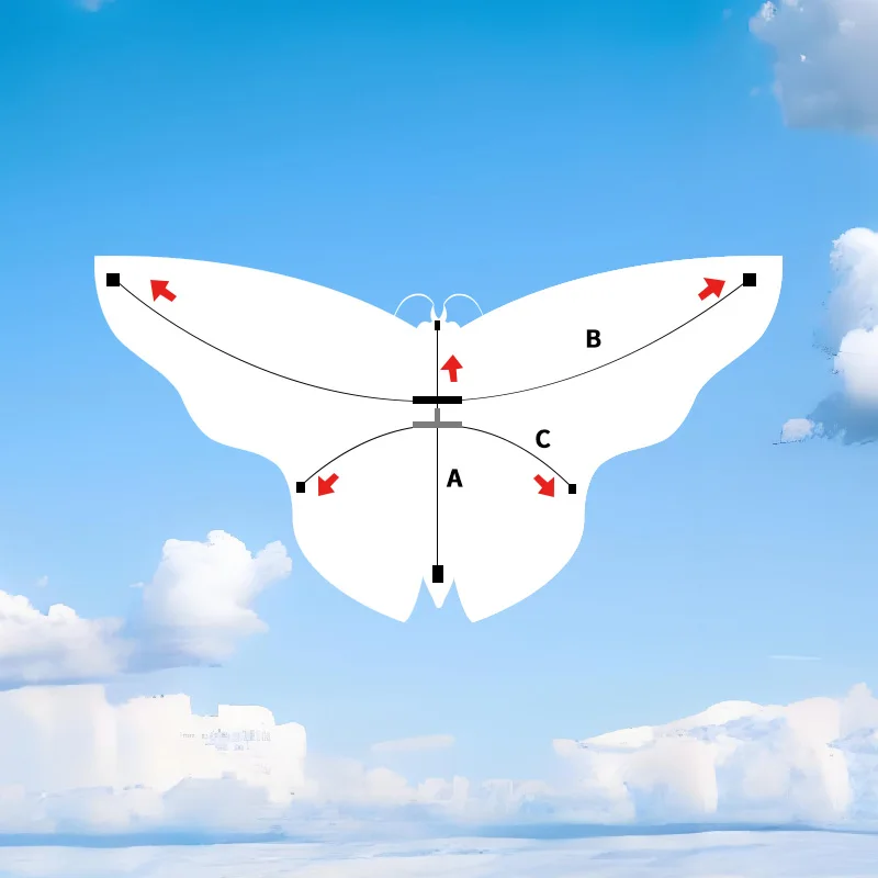 Rainbow Butterfly Kite Colorful Outdoor Flight Adventure