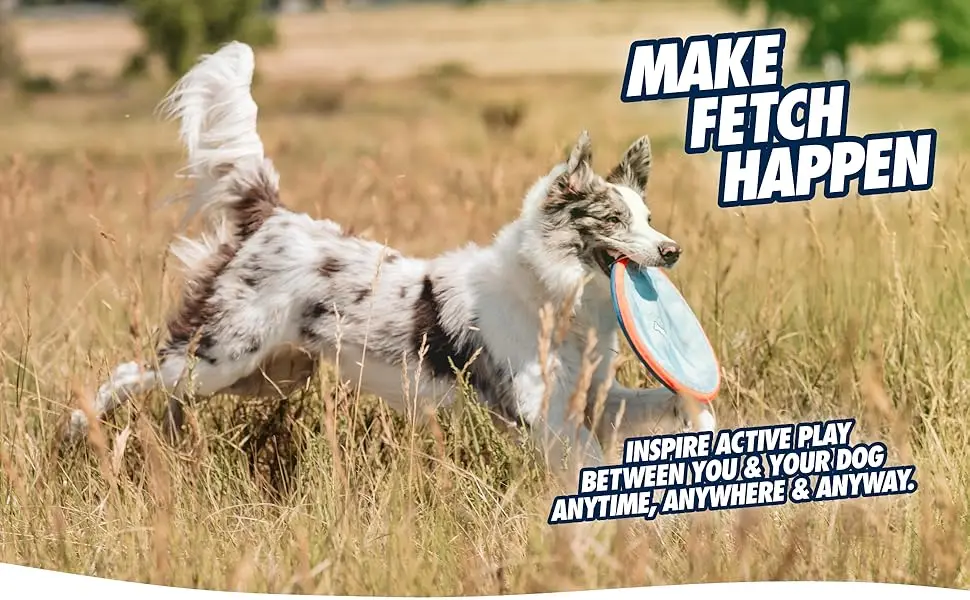 Image of dog carrying flying disc in mouth with text reading make fetch happen.