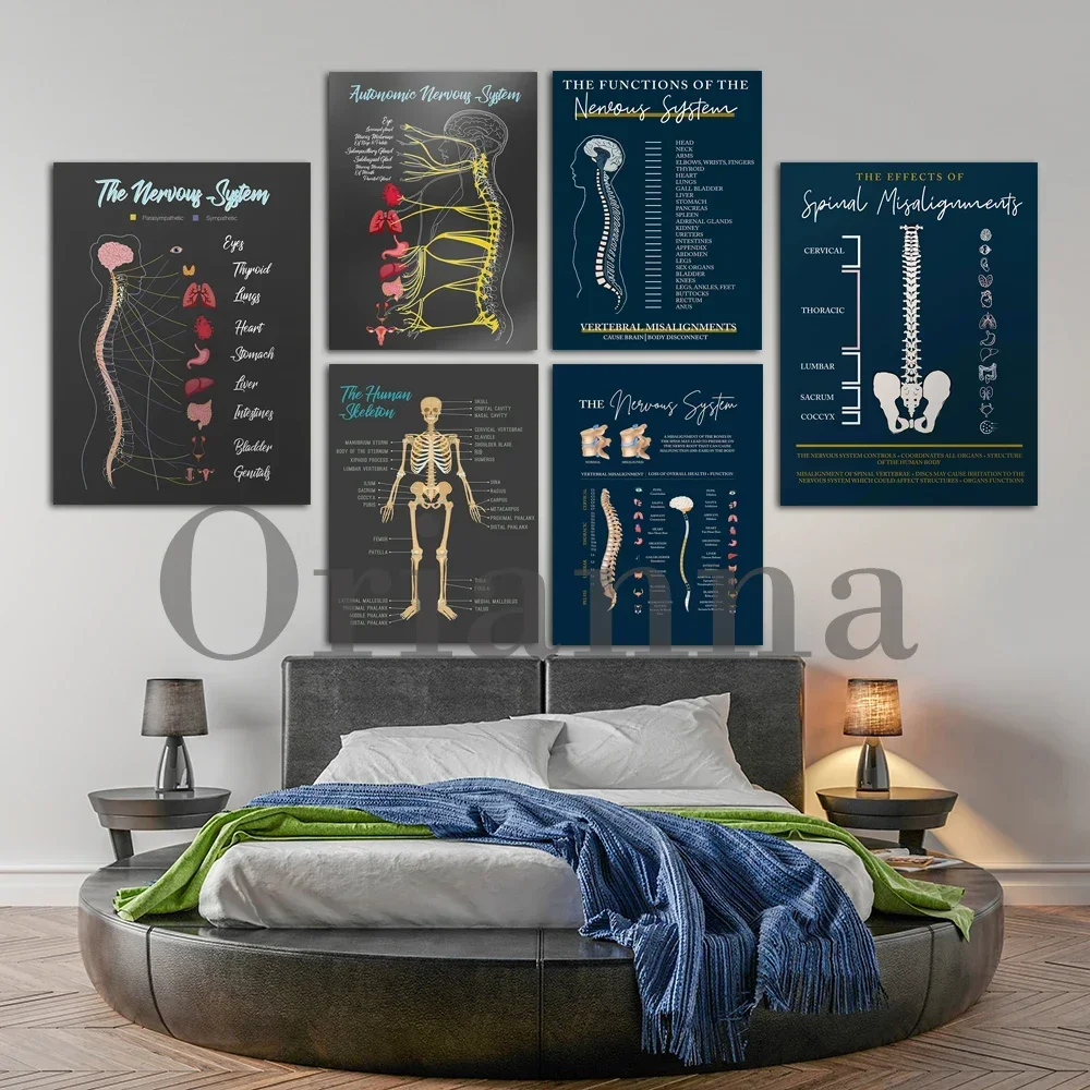 Nervous System Function Chart 3