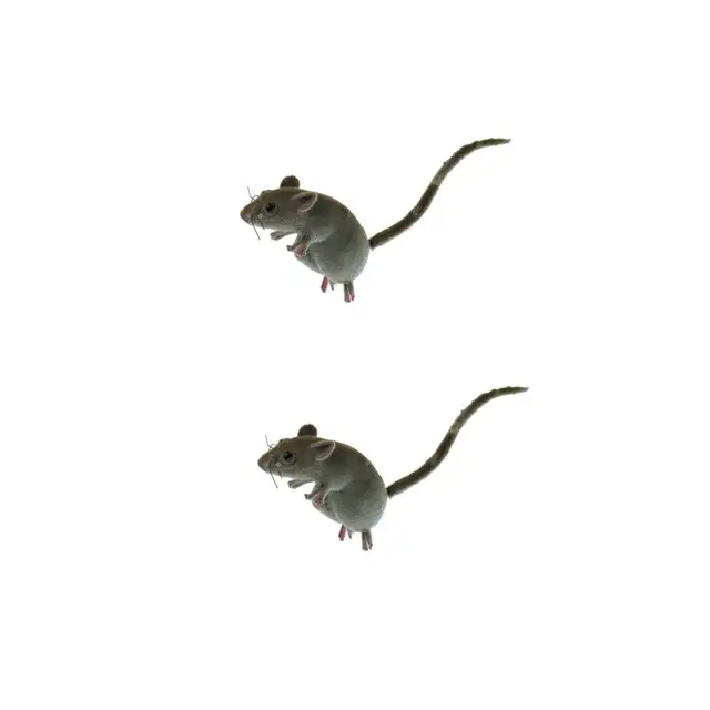 2Pcs