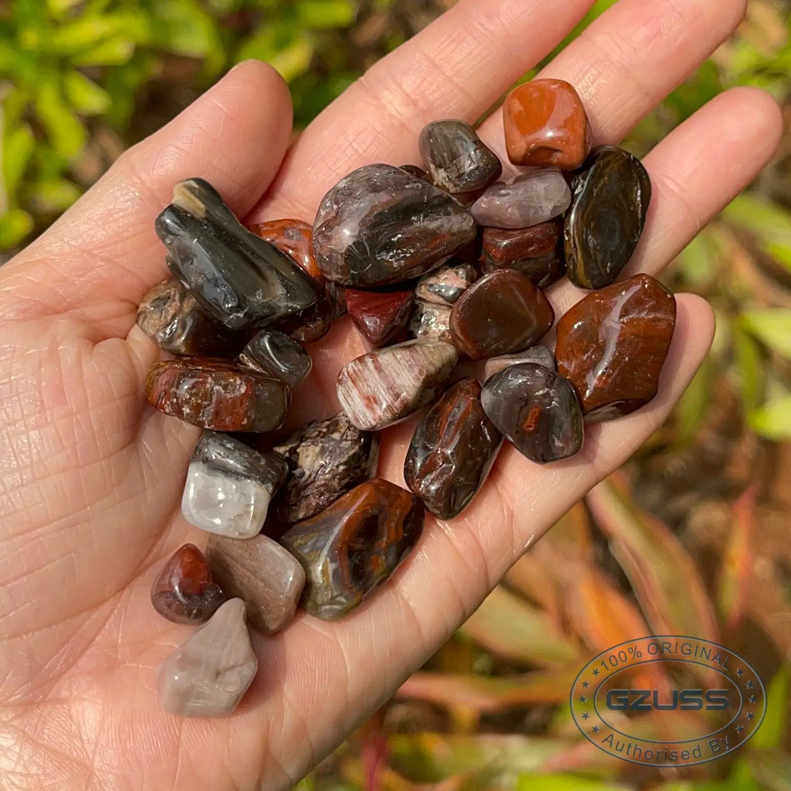 Petrified Wood Meaning Crystal Vaults Clearance Cheapest factoryeye