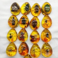 1PC DIY Hand Crafts Gift Insects Amber Gemstone Scorpion Natural And Mineral Stones Home Decoration 2